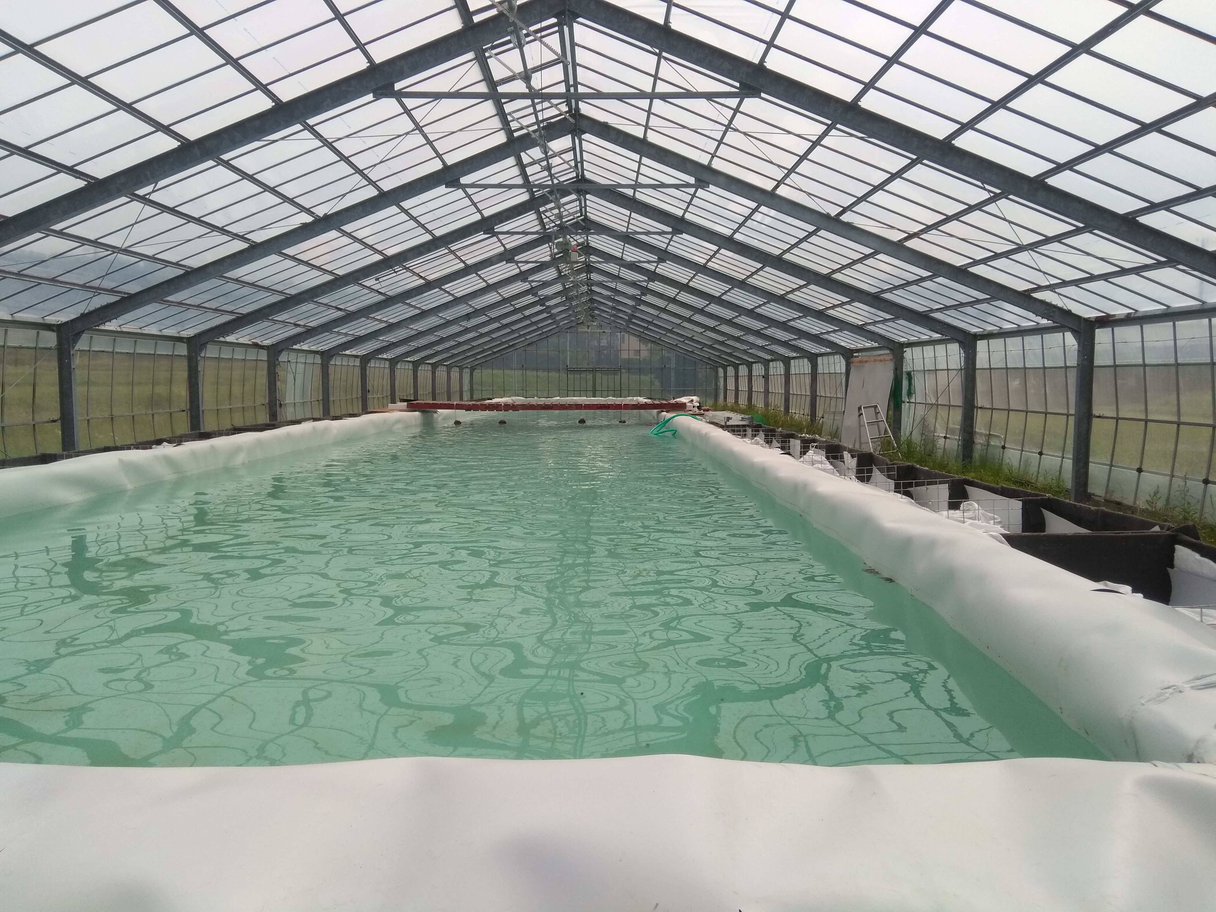 耕作放棄地を活用した陸上養殖